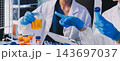 Medical or scientific researcher or man doctor looking at a test tube of clear solution in a laboratory 143697037