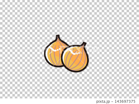 簡單的蔬菜插圖:洋蔥 簡單的蔬菜插圖:洋蔥 143697375