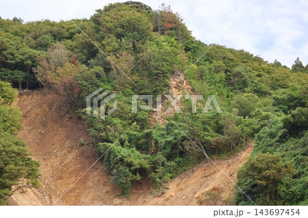 緑の木々の生えた崖崩れのある山の風景 緑の木々の生えた崖崩れのある山の風景 143697454