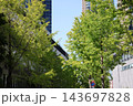青空とビル群と街路樹のある街並みの風景 143697828