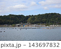 養殖筏のある青い海面の海と海岸と町並みと緑の山並みと雲と青空の風景 143697832