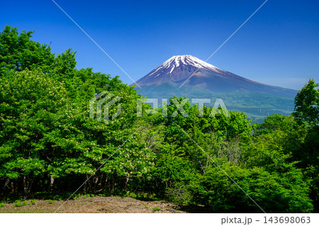 黒岳山頂からの富士山 黒岳山頂からの富士山 143698063
