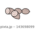 シンプルな野菜のイラスト　レンコン 143698099