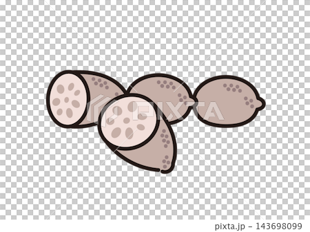 Simple illustration of a vegetable: lotus root Simple illustration of a vegetable: lotus root 143698099