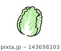 シンプルな野菜のイラスト　白菜 143698103