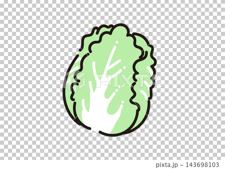 Simple illustration of a vegetable: Chinese cabbage 143698103