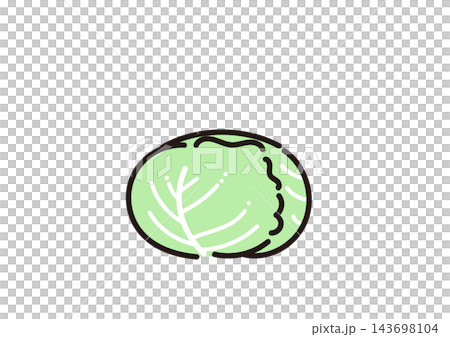 Simple vegetable illustration: Cabbage 143698104