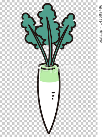 簡單的蔬菜插圖:蘿蔔 簡單的蔬菜插圖:蘿蔔 143698496