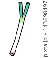 シンプルな野菜のイラスト　ねぎ 143698497