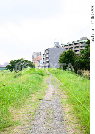 タイトル（50文字程度） 緑の草地に続く未舗装の小道と集合住宅、樹木を縦構図で撮影した都市郊外の土手 143698970