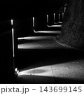 ライトに照らされて続いて行く夜の道 143699145