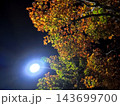 街灯に照らされる紅葉 143699700