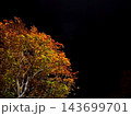 夜空バックの紅葉 143699701