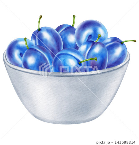 Watercolor illustration of a ceramic bowl filled with blue plums, blossom, leaf isolated on white background. Perfect for product logo, posters, packaging, textile, market advertising, label, card 143699814