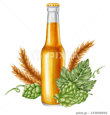 Watercolor illustration craft beer compositions with glass, mug, bottle, can, hops, and wheat isolated on white background. Perfect for bar, menu, pub decor, Oktoberfest festival or packaging Watercolor illustration craft beer compositions with glass, mug, bottle, can, hops, and wheat isolated on white background. Perfect for bar, menu, pub decor, Oktoberfest festival or packaging 143699948