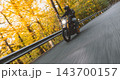 Motorcyclist wearing a black helmet and dark riding gear approaching the camera on a winding asphalt road through a sunlit green and golden autumn forest, with dynamic motion blur. 143700157