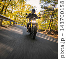 Motorcyclist wearing a black helmet and dark riding gear approaching the camera on a winding asphalt road through a sunlit green and golden autumn forest, with dynamic motion blur. 143700158