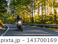 Motorcyclist wearing a black helmet and dark riding gear approaching the camera on a winding asphalt road through a sunlit green and golden autumn forest, with dynamic motion blur. 143700169