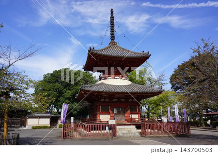 埼玉県川越市の喜多院の多宝塔の風景 埼玉県川越市の喜多院の多宝塔の風景 143700503