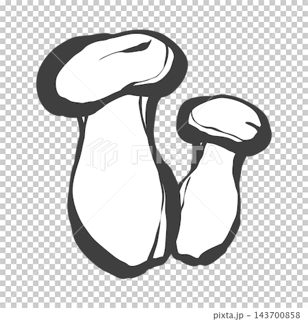 エリンギの手描き筆絵風イラスト 143700858