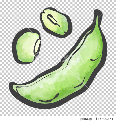 Hand-drawn brushstroke style illustration of edamame Hand-drawn brushstroke style illustration of edamame 143700874