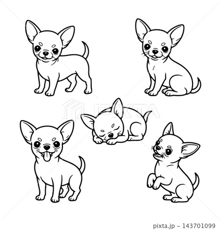 Cute chihuahua puppies playing and resting in various poses on a white background Cute chihuahua puppies playing and resting in various poses on a white background 143701099