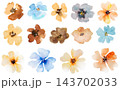 Watercolor flowers clipart, isolated illustration. Floral pastel elements for romantic wedding invitations 143702033