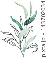 Watercolor botanical clipart with green eucalyptus leaves and black line art, isolated illustration 143702034