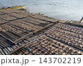 Drying fish on traditional floating house, Lake Tempe, Indonesia 143702219
