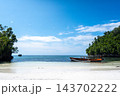 Traditional boat on Lia beach, Waleakodi Island, Togian archipelago, Sulawesi, Indonesia 143702222