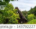 Traditional houses of Hida Minzoku Mura Folk Village in Takayama 143702227