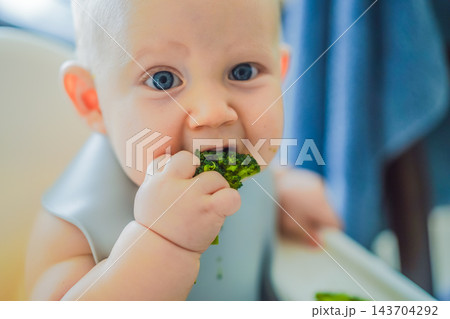 Baby eating broccoli independently in a high chair during complementary feeding. 143704292