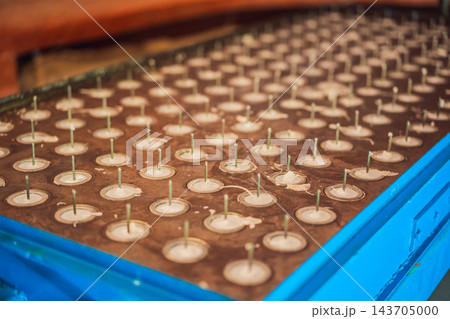 Rows of metal candle holders with wax remnants in a devotional display. Rows of metal candle holders with wax remnants in a devotional display. 143705000