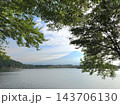 富士山と田貫湖の朝 143706130