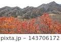 赤い実をたくさん付けた紅葉の低木と、岩肌の見える秋の山の斜面 143706172
