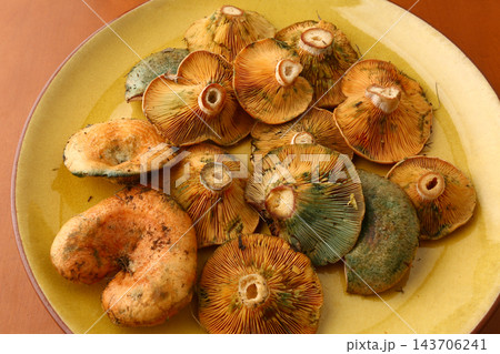 Wild Edible Mushrooms Traditional Autumn Food and Mediterranean Gastronomy Wild Edible Mushrooms Traditional Autumn Food and Mediterranean Gastronomy 143706241