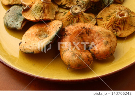Wild Edible Mushrooms Traditional Autumn Food and Mediterranean Gastronomy Wild Edible Mushrooms Traditional Autumn Food and Mediterranean Gastronomy 143706242