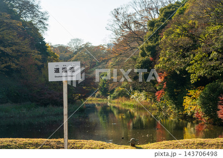 皇居内のカラフルな秋の木々に囲まれた道灌濠の風景。千代田区、東京都、日本 143706498