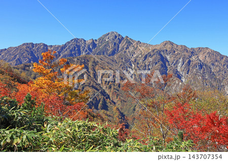 白馬五竜　遠見尾根登山道からの山岳展望 143707354