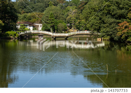 町田薬師池公園 四季彩の杜 町田薬師池公園 四季彩の杜 143707733