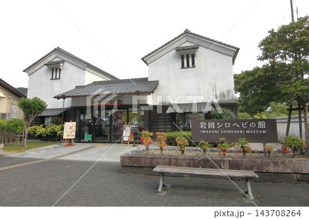 山口県岩国市錦帯橋と吉香公園、岩国シロヘビの館 山口県岩国市錦帯橋と吉香公園、岩国シロヘビの館 143708264