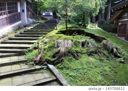 曹洞宗大本山永平寺の境内の階段と苔の生えた古い切り株 143708812