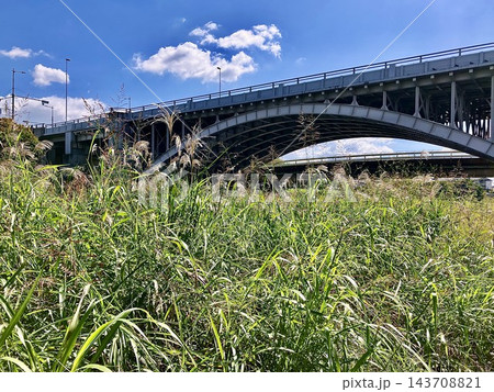 ススキの群生と橋 143708821