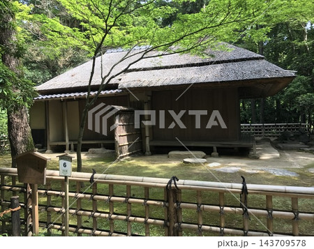 新緑の森に佇む茅葺き屋根の日本伝統建築と苔庭 新緑の森に佇む茅葺き屋根の日本伝統建築と苔庭 143709578