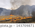大分県　タデ原湿原の環境保全の野焼き 143709871
