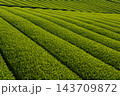 福岡県　八女中央大茶園 143709872