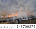 大分県　タデ原湿原の環境保全の野焼き 143709875