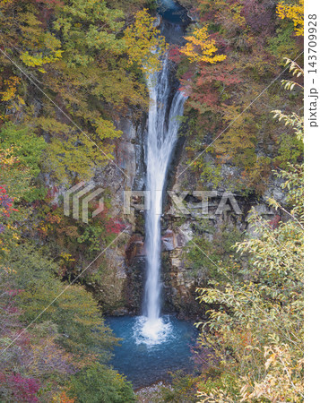 駒止めの滝　周辺の秋 143709928