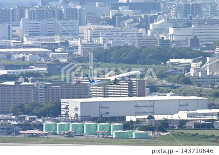 池田市五月山　五月平展望台　大阪伊丹空港を一望 143710646