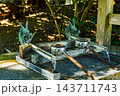 龍神が見守る八大龍王水神の手水舎 143711743